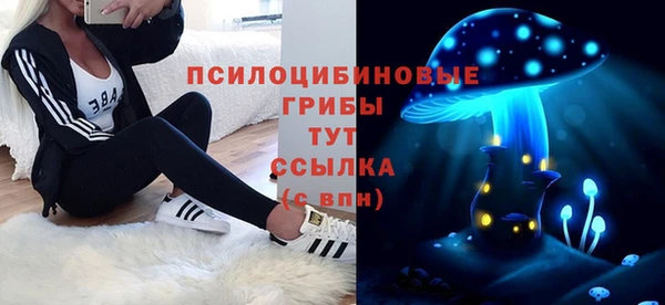 шишки Магадан