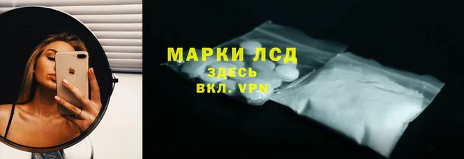 шишки Магадан