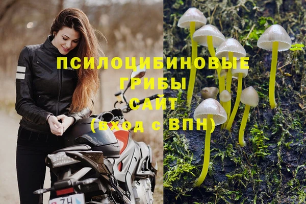 таблы Алзамай