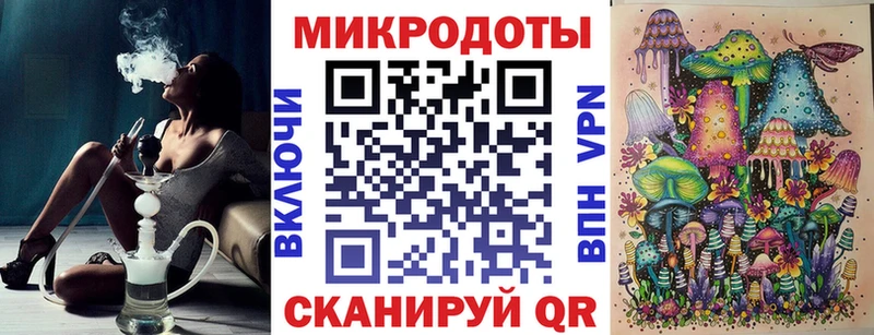 даркнет наркотические препараты  Андреаполь  Псилоцибиновые грибы мицелий 